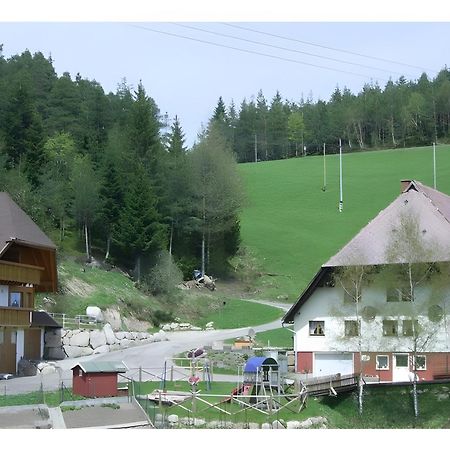 Vila Hinterhauensteinhof Hornberg Exteriér fotografie