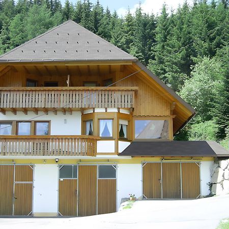 Vila Hinterhauensteinhof Hornberg Exteriér fotografie