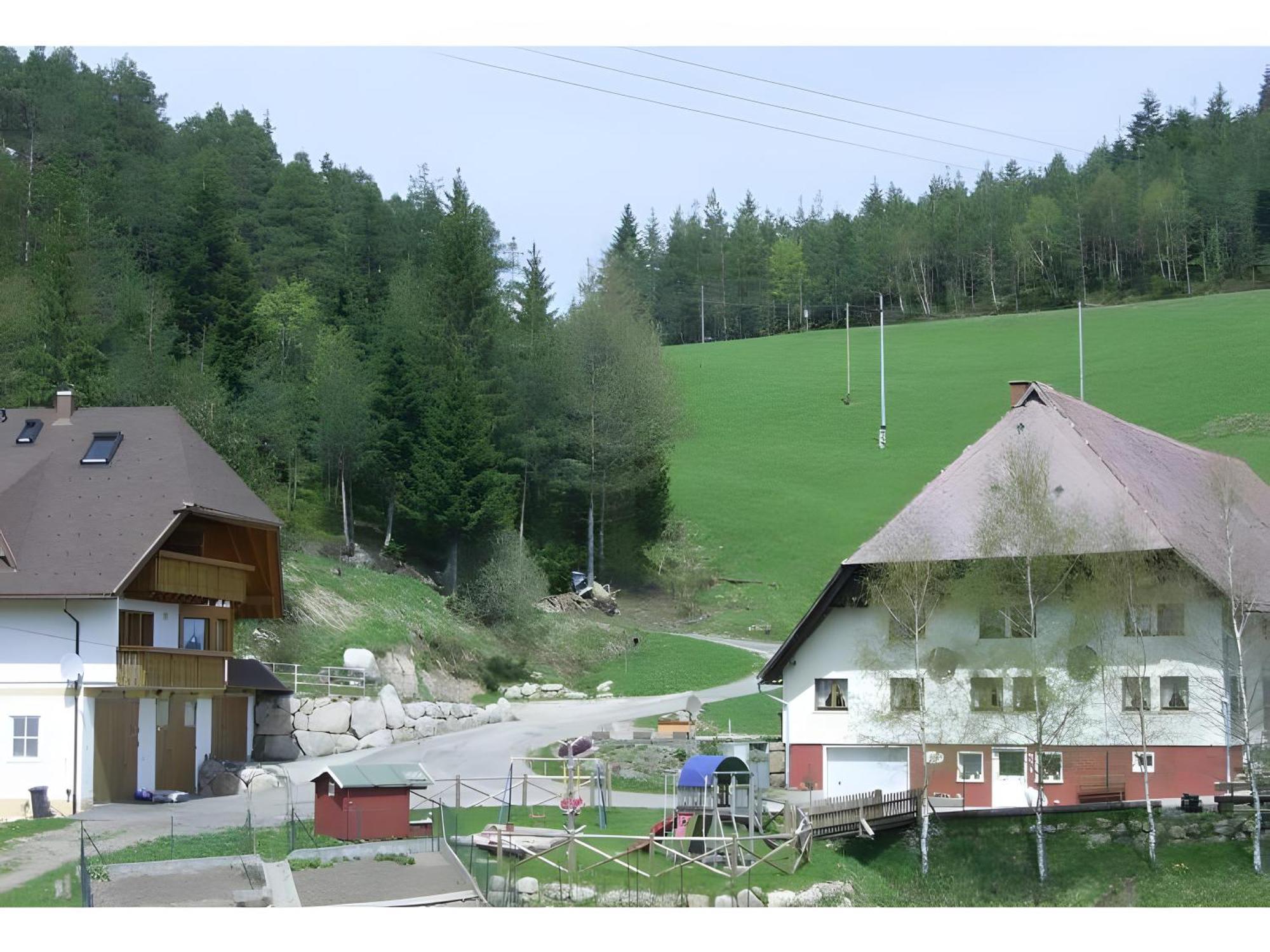 Vila Hinterhauensteinhof Hornberg Exteriér fotografie