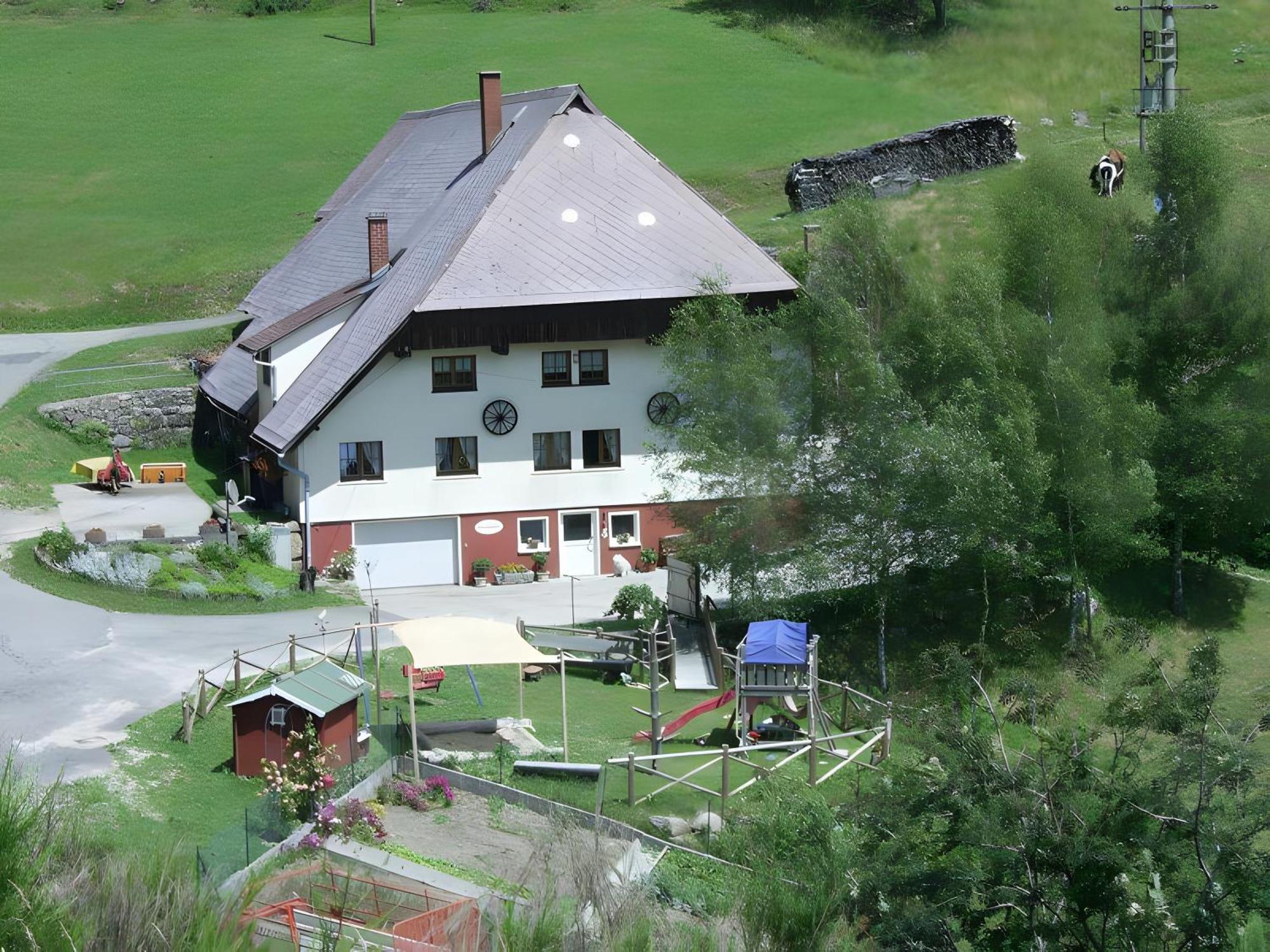 Vila Hinterhauensteinhof Hornberg Exteriér fotografie