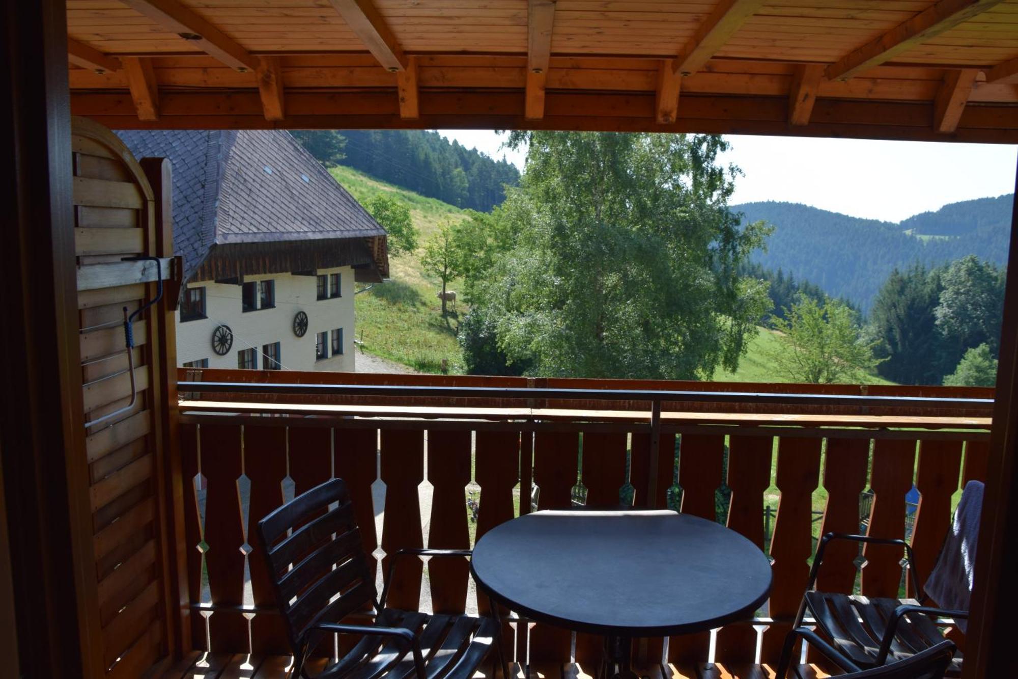 Vila Hinterhauensteinhof Hornberg Exteriér fotografie