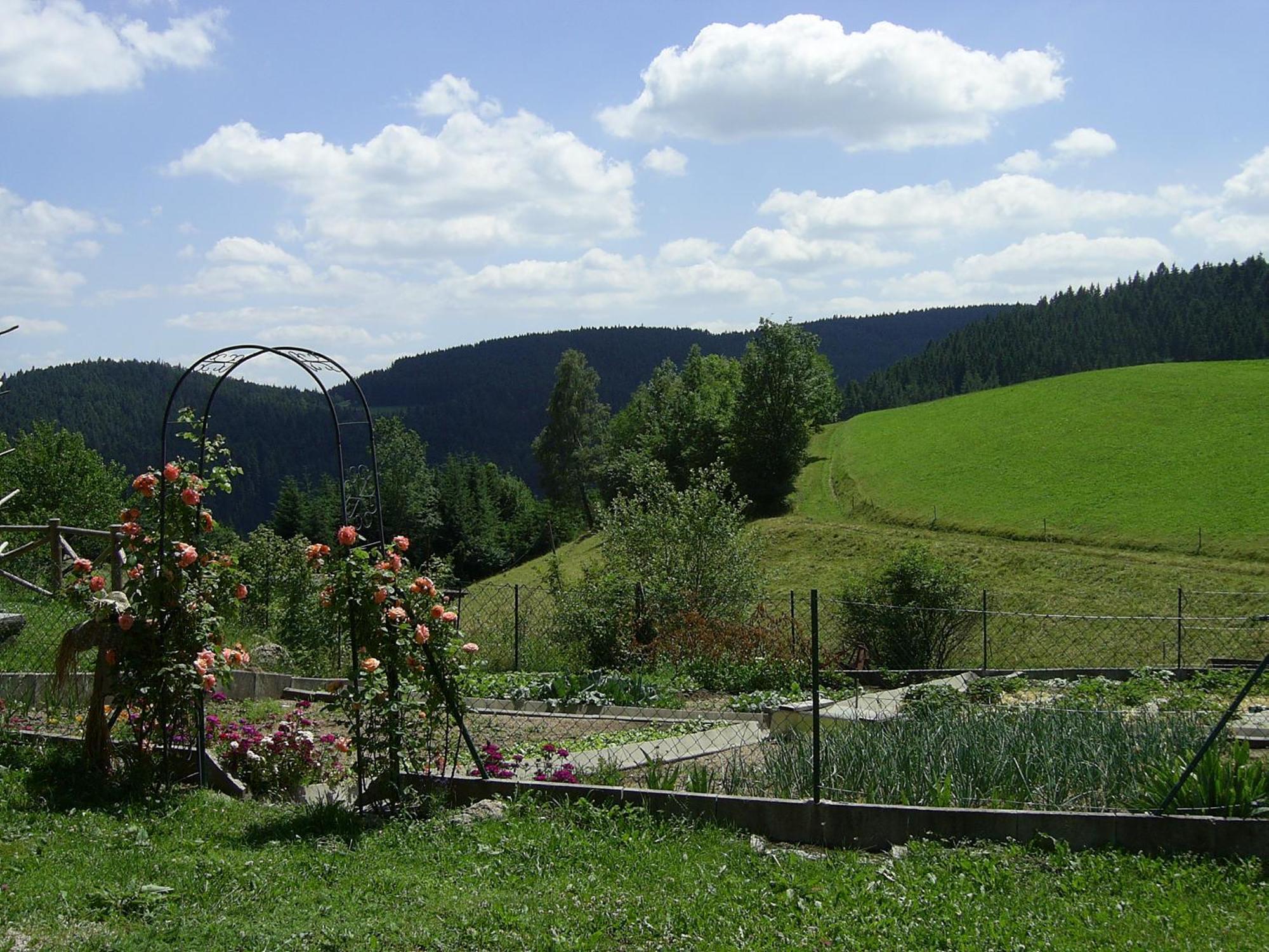 Vila Hinterhauensteinhof Hornberg Exteriér fotografie