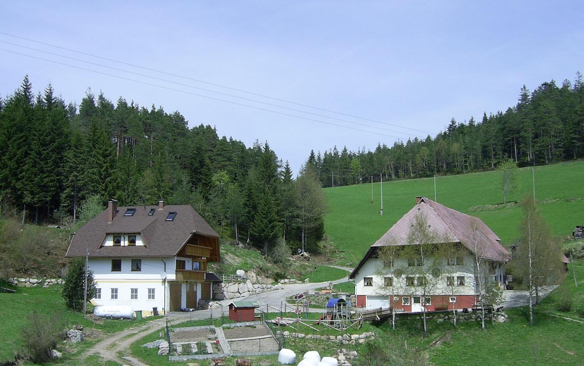Vila Hinterhauensteinhof Hornberg Exteriér fotografie